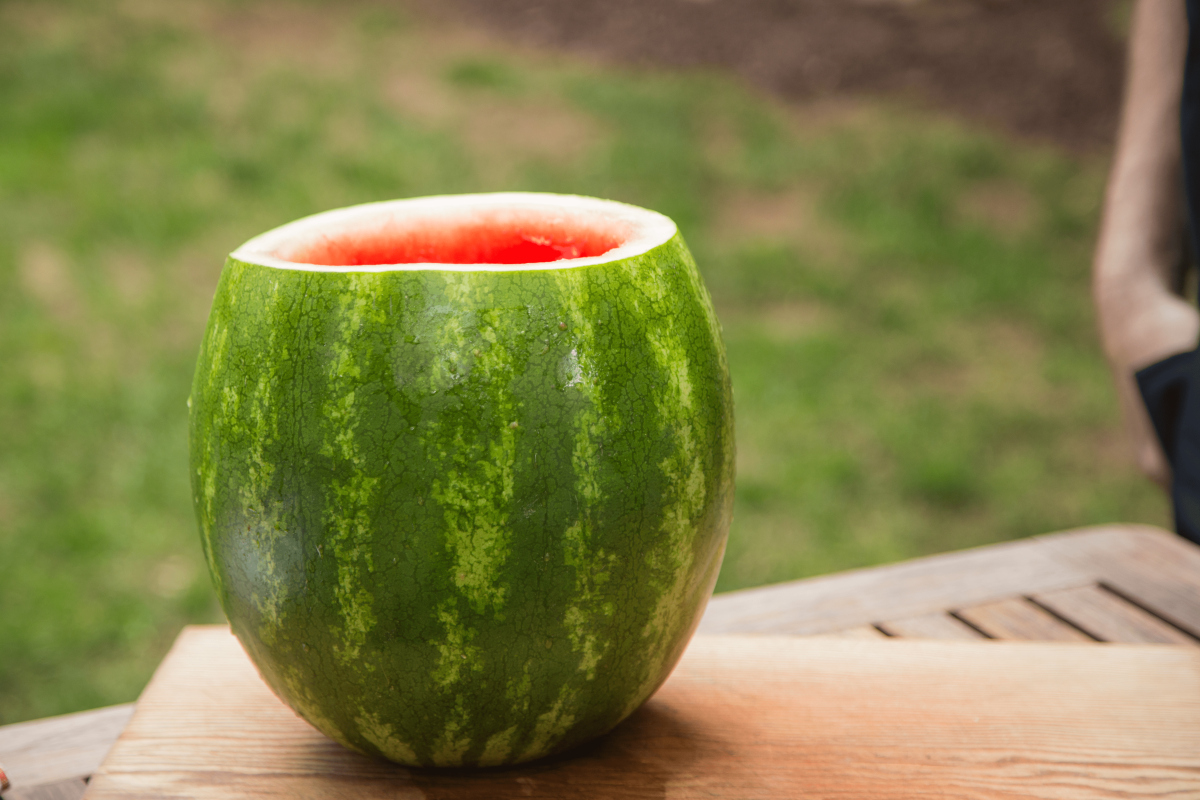 Quick Tip Watermelon