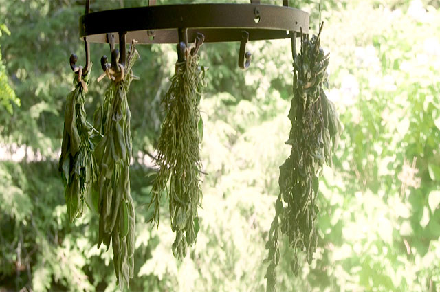 Preserving Herbs Tip