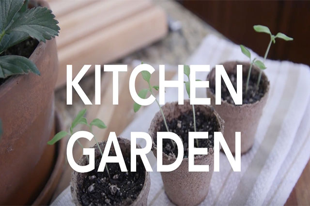 Quick Tip: Kitchen Garden
