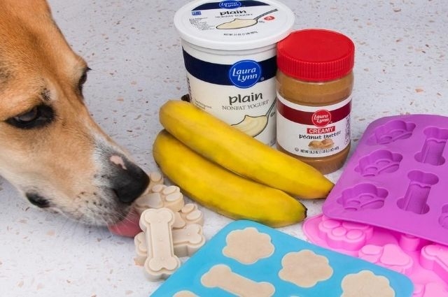 Homemade Doggie Treats