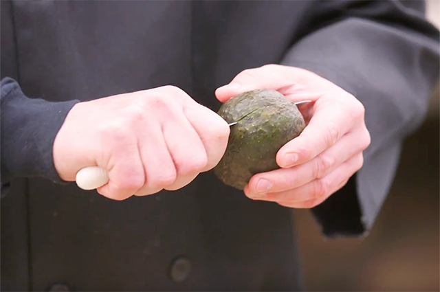 Quick Tip: Core An Avocado